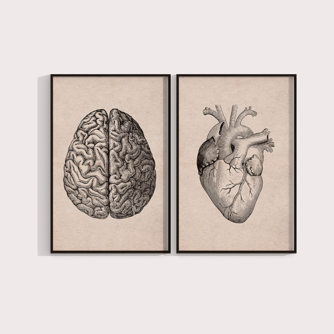 Composição Brain and Heart Vintage - LARTESTUDIO