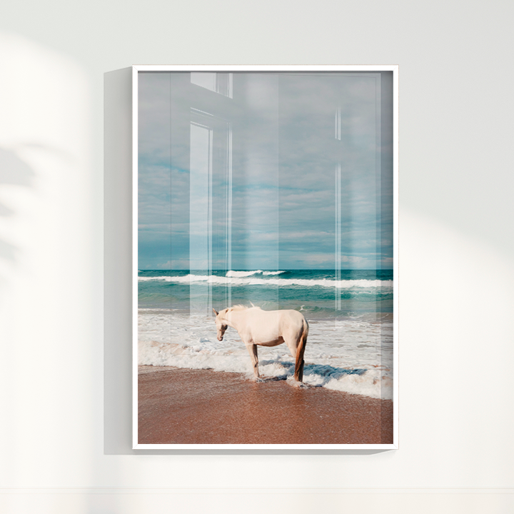Quadro Cavalo Costa por Camila da Lomba