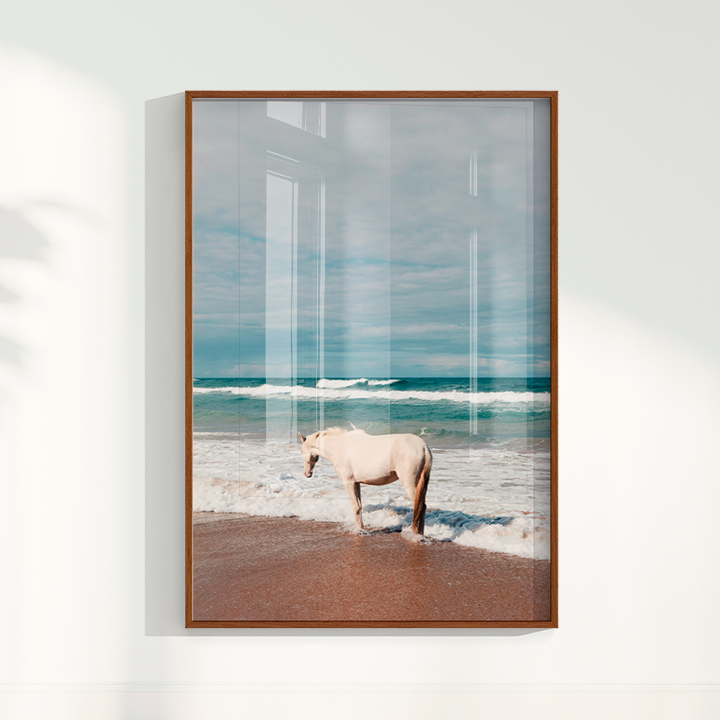 Quadro Cavalo Costa por Camila da Lomba