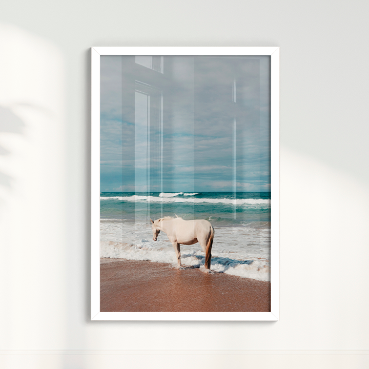Quadro Cavalo Costa por Camila da Lomba