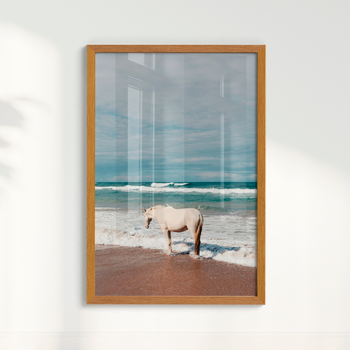 Quadro Cavalo Costa por Camila da Lomba