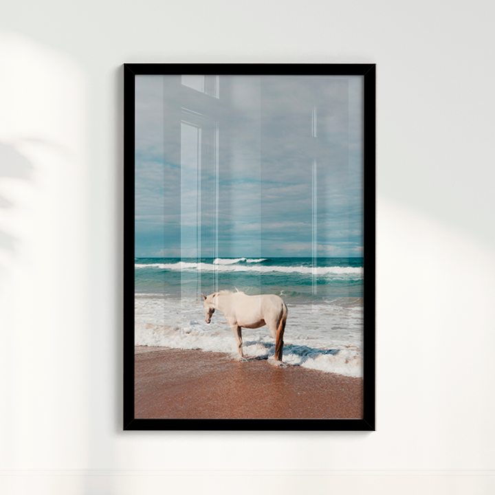 Quadro Cavalo Costa por Camila da Lomba