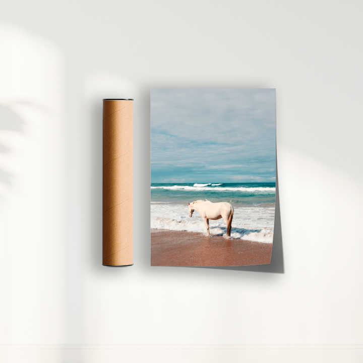 Quadro Cavalo Costa por Camila da Lomba