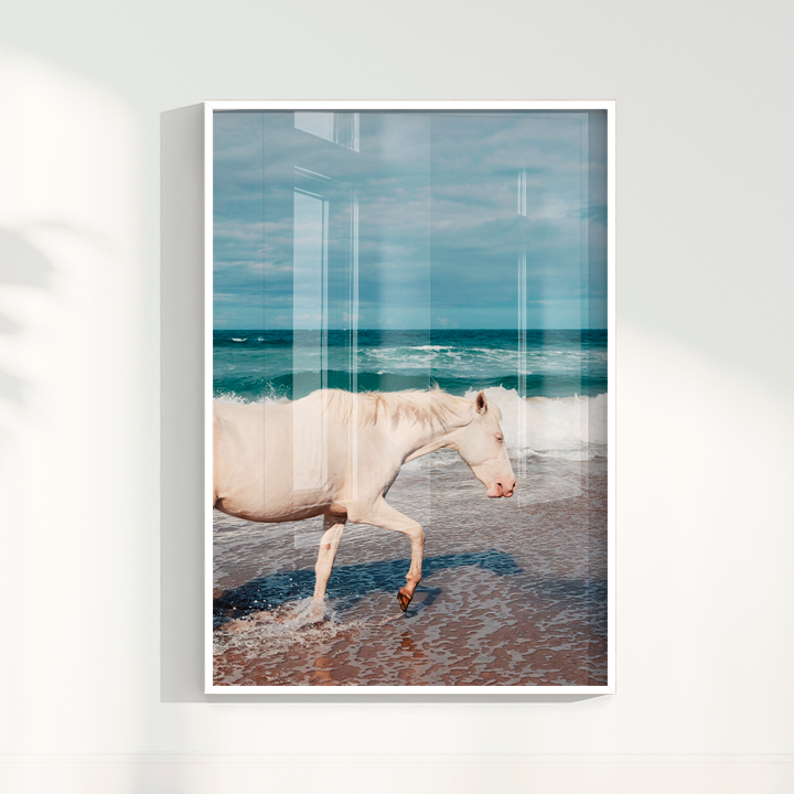 Quadro Cavalo Perfil por Camila da Lomba