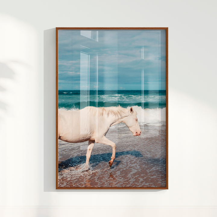 Quadro Cavalo Perfil por Camila da Lomba