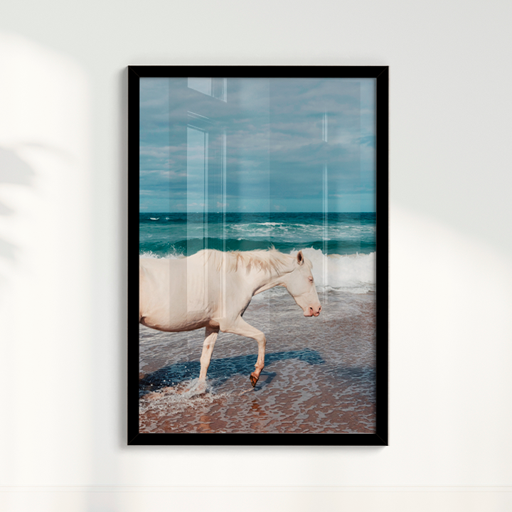 Quadro Cavalo Perfil por Camila da Lomba