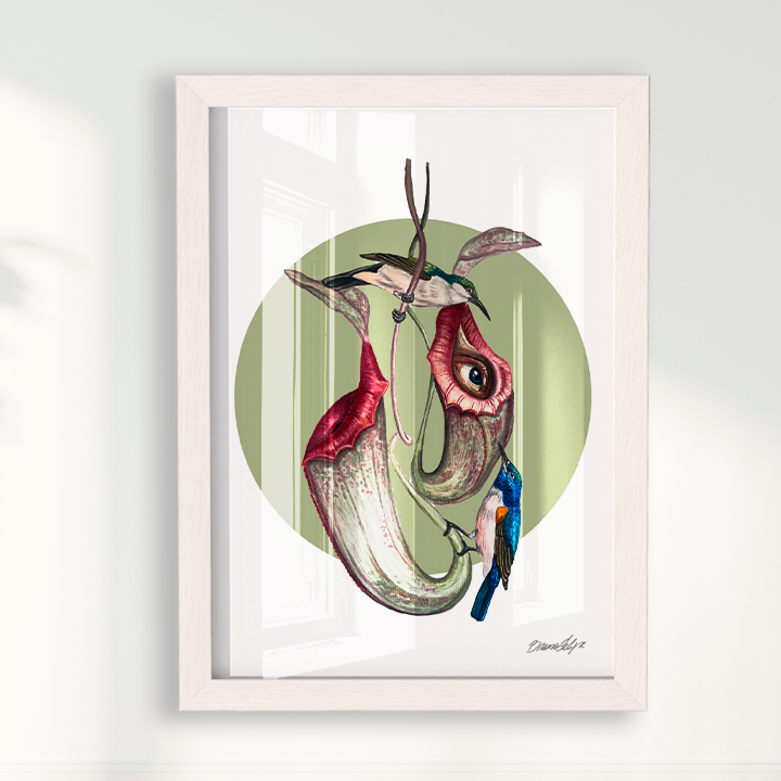 Quadro Colibri por Bruno Felipe