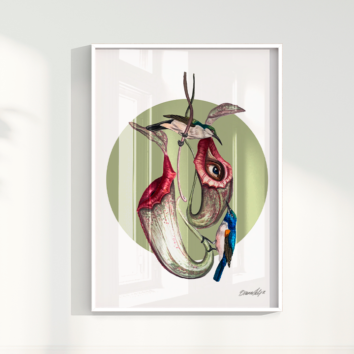 Quadro Colibri por Bruno Felipe