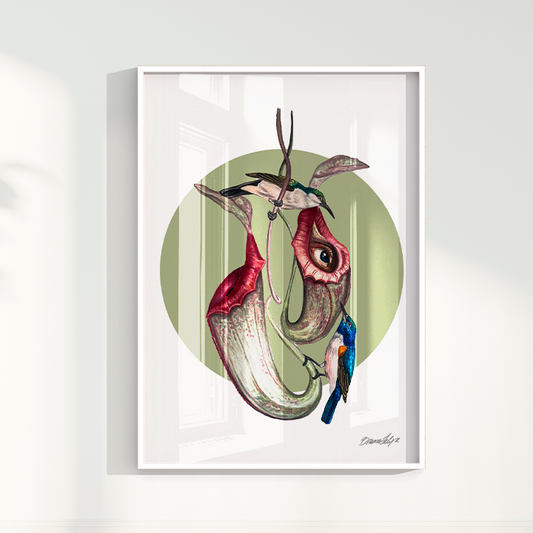 Quadro Colibri por Bruno Felipe