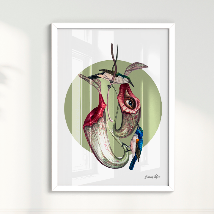Quadro Colibri por Bruno Felipe