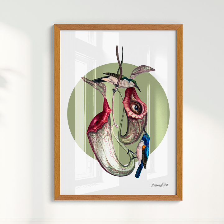 Quadro Colibri por Bruno Felipe