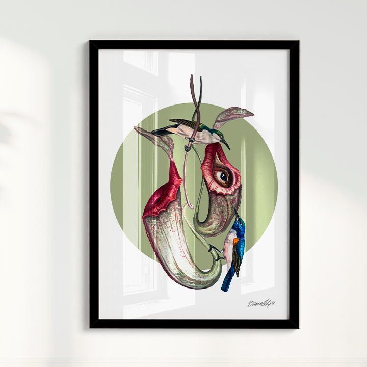 Quadro Colibri por Bruno Felipe