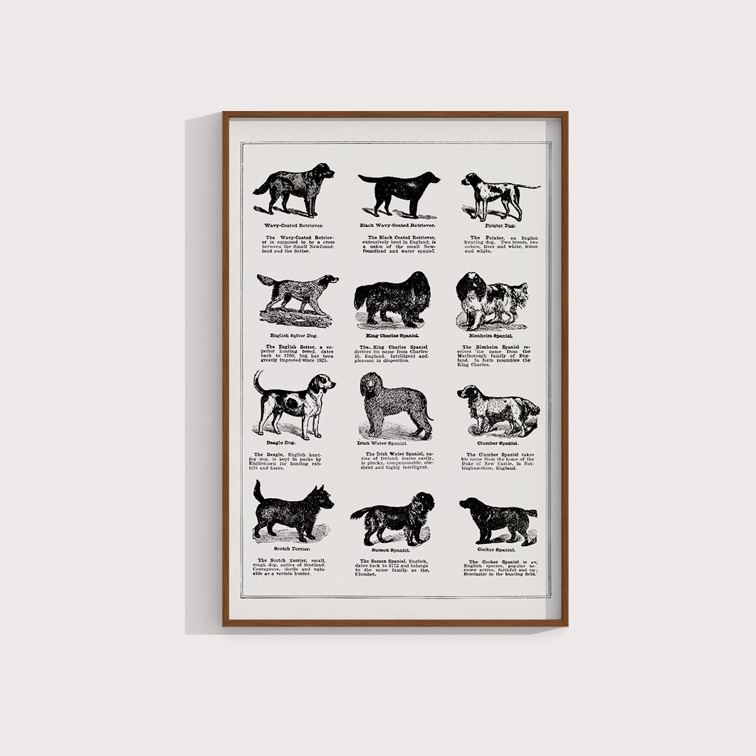 Vintage Dogs II - LARTESTUDIO