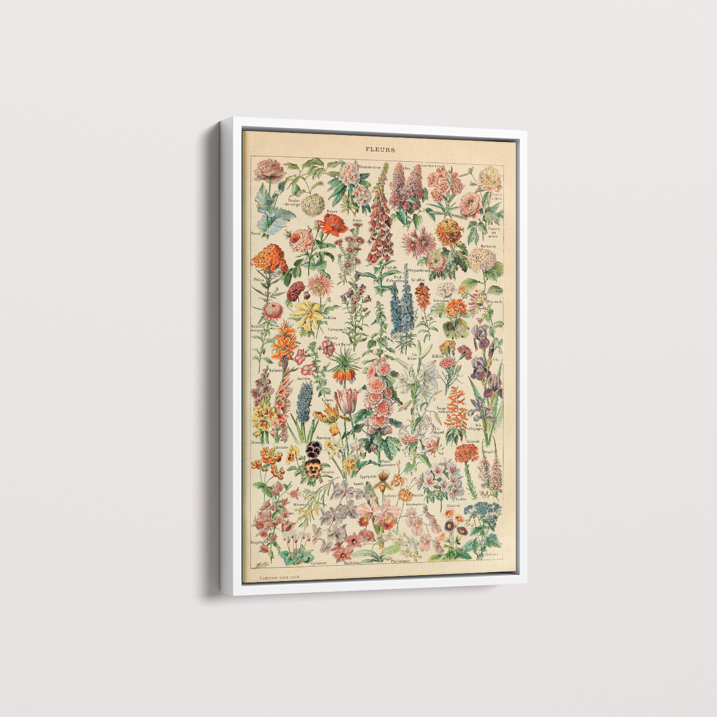 Quadro Fleurs - flores vintage