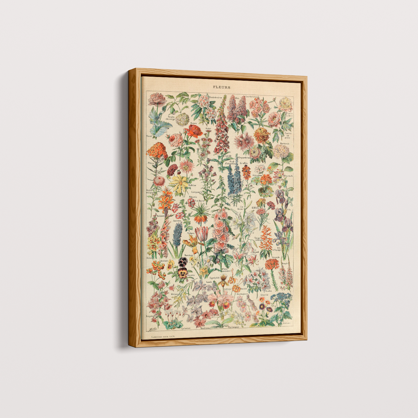 Quadro Fleurs - flores vintage