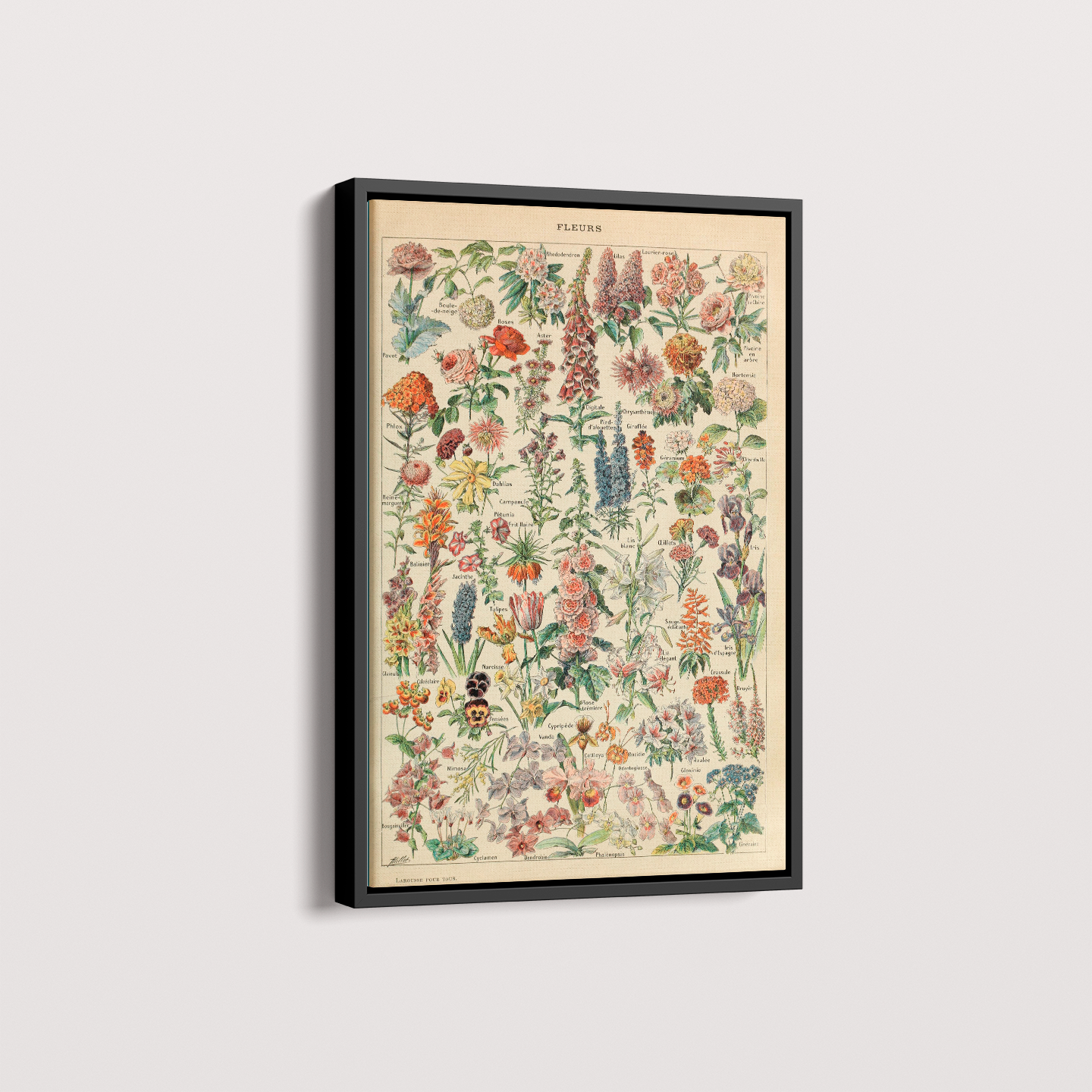 Quadro Fleurs - flores vintage