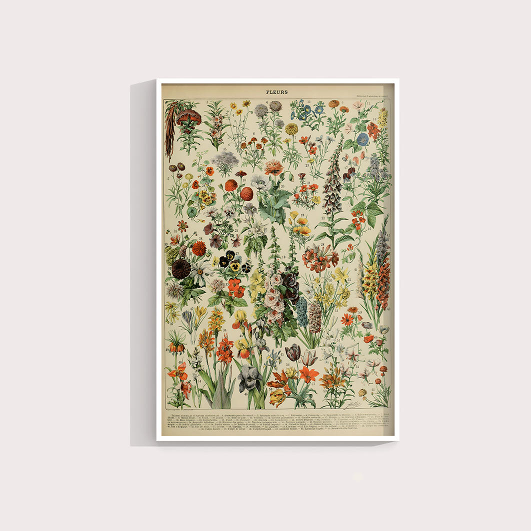 Fleurs II - flores vintage 2