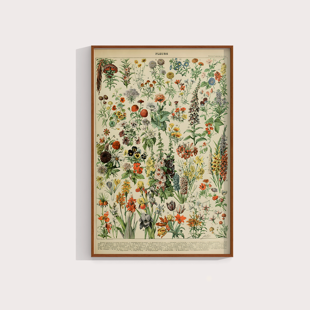 Fleurs II - flores vintage 2