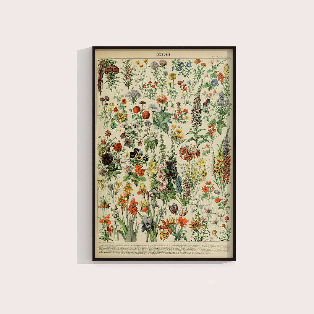 Fleurs II - flores vintage 2