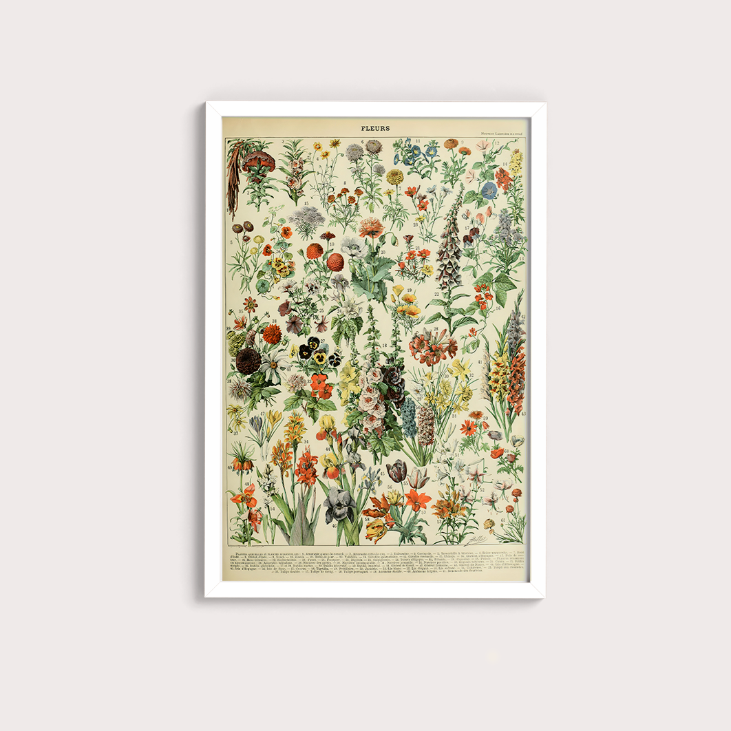 Fleurs II - flores vintage 2
