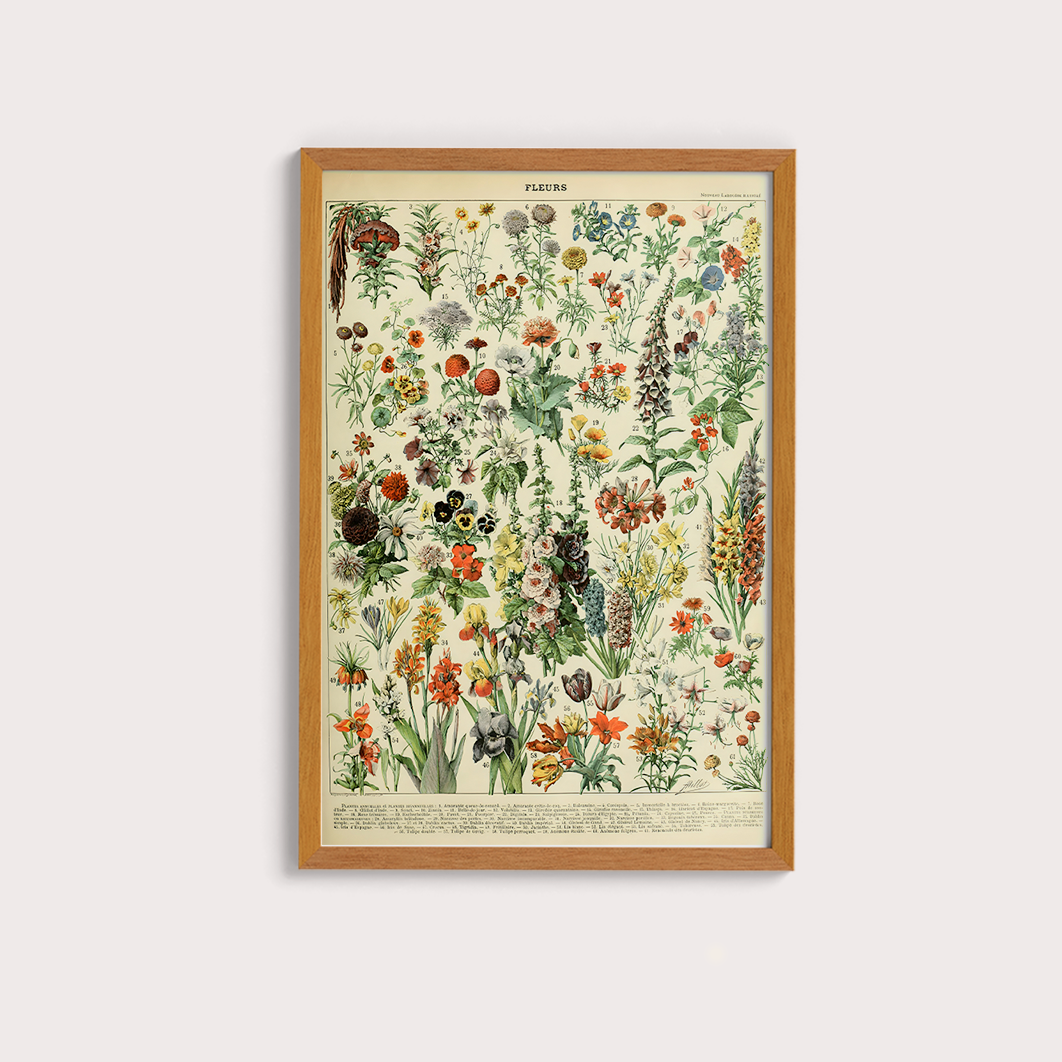 Fleurs II - flores vintage 2