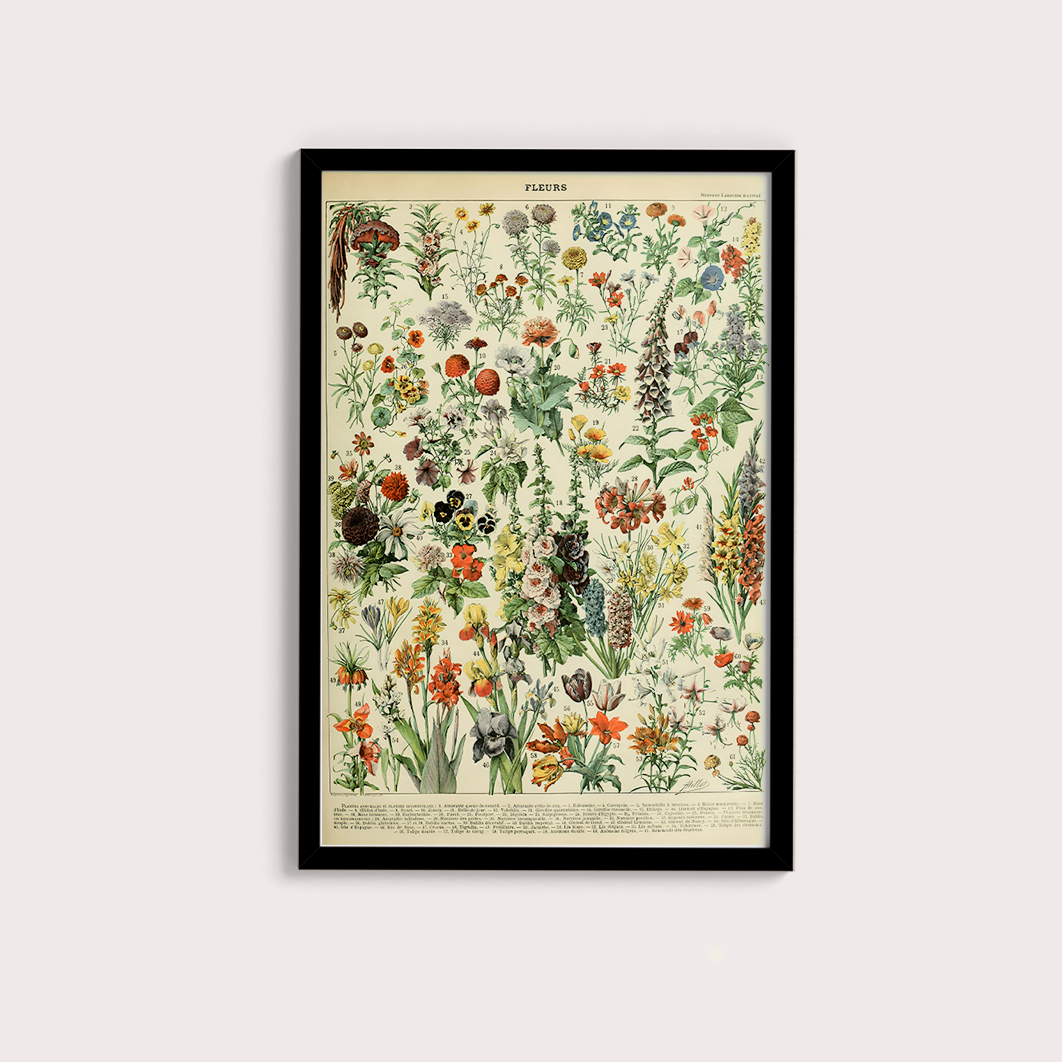 Fleurs II - flores vintage 2