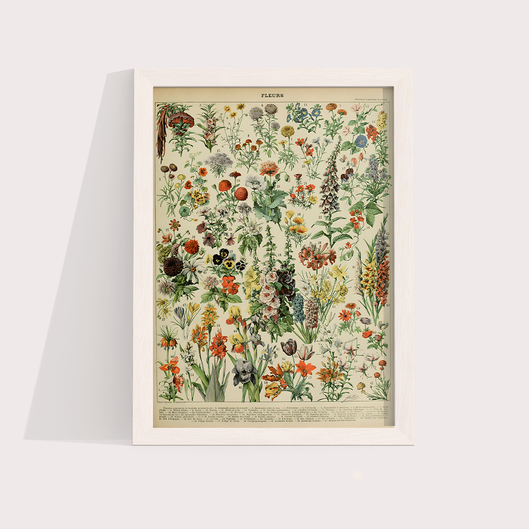 Fleurs II - flores vintage 2