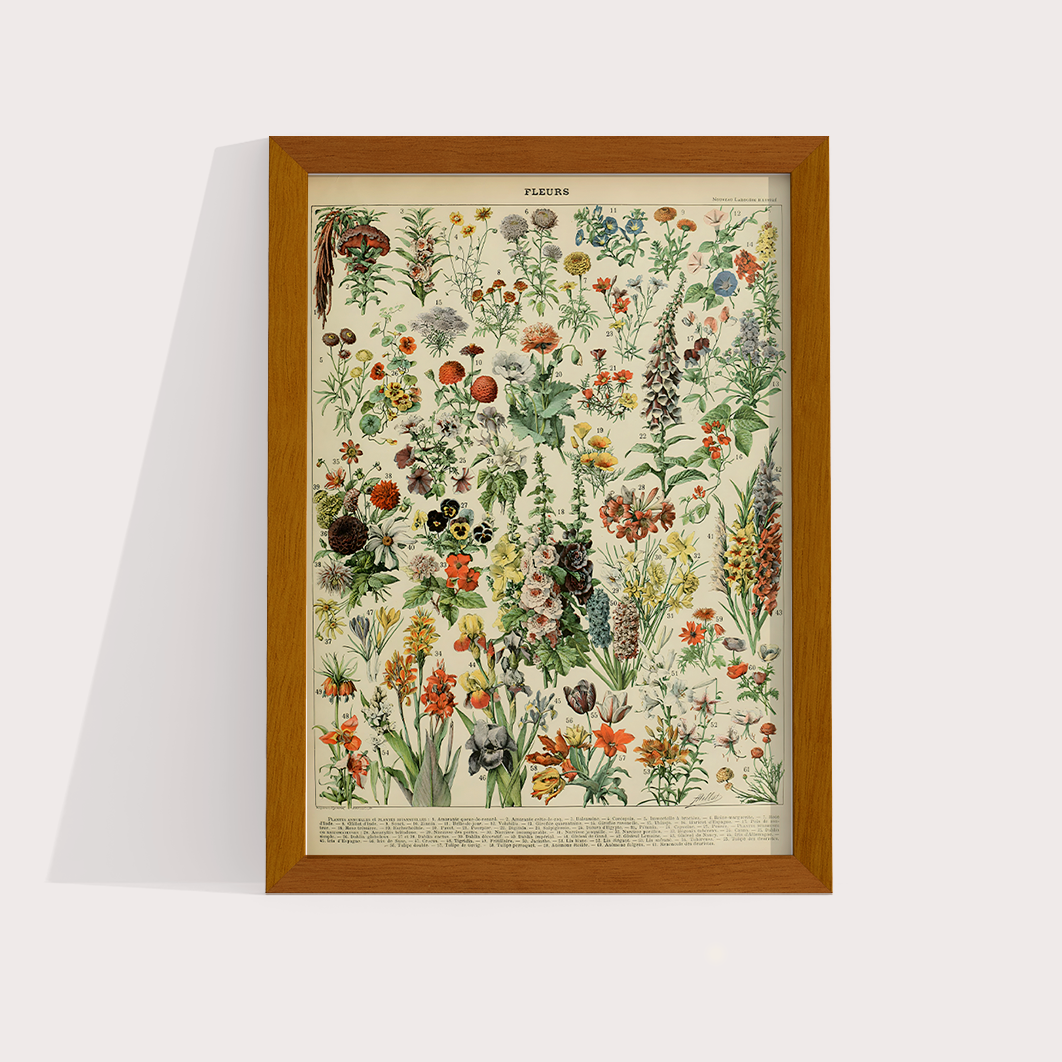 Fleurs II - flores vintage 2