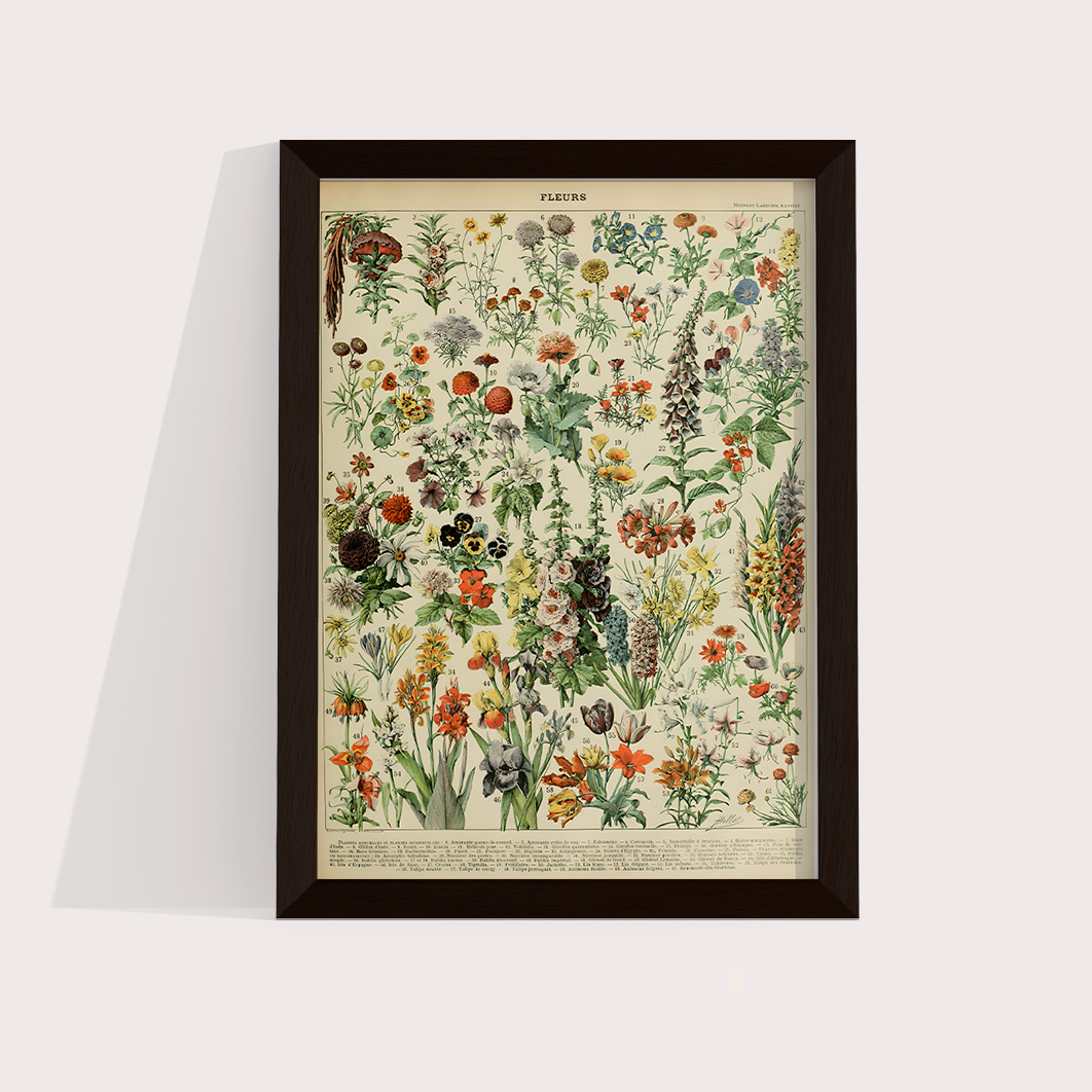 Fleurs II - flores vintage 2
