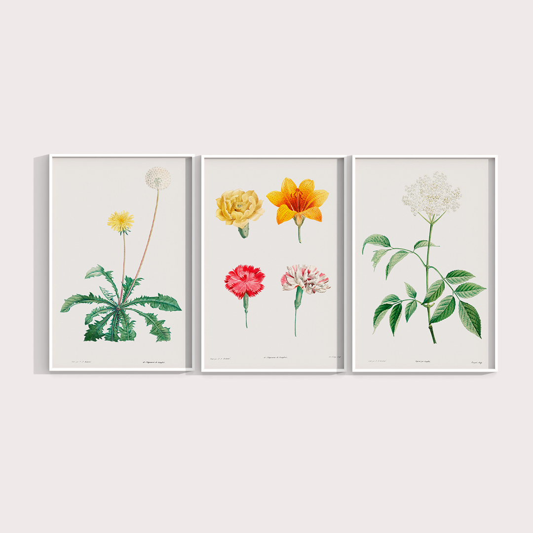 Composição Flores Quarto