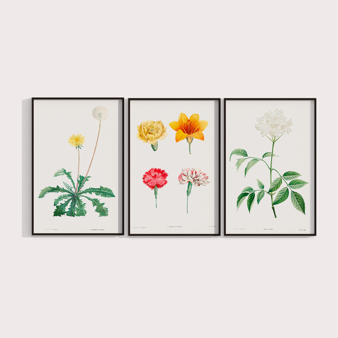 Composição Flores Quarto