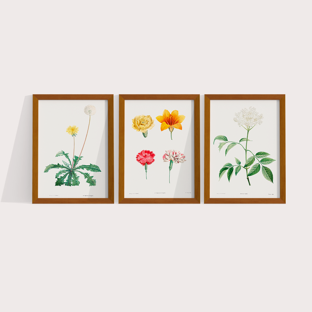 Composição Flores Quarto