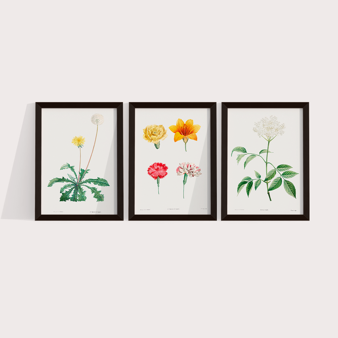 Composição Flores Quarto