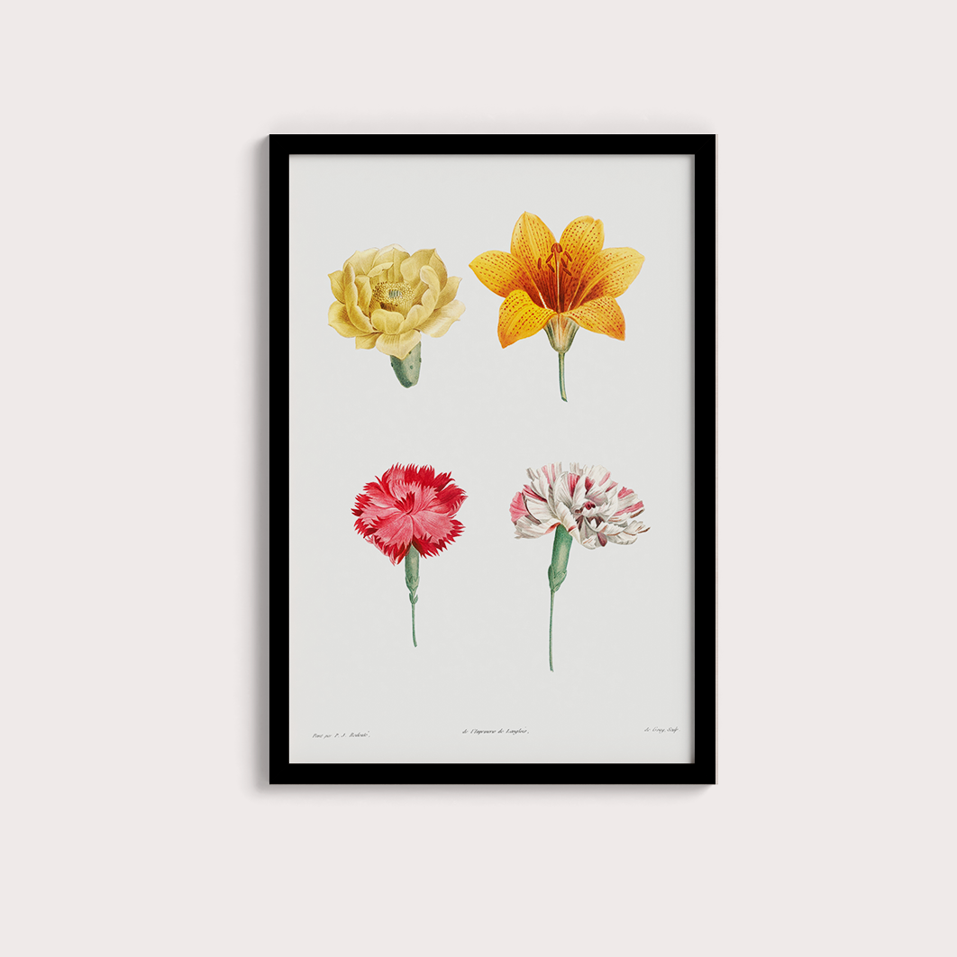 Flores