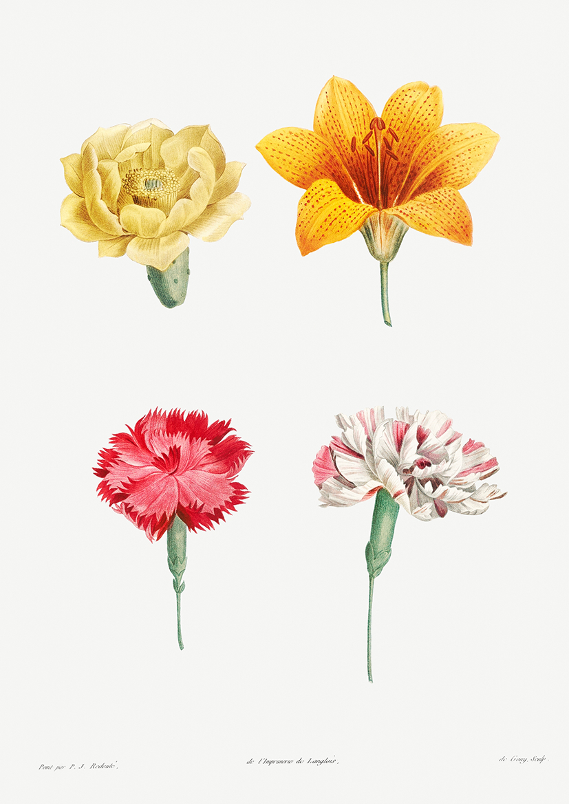 Quadro Flores