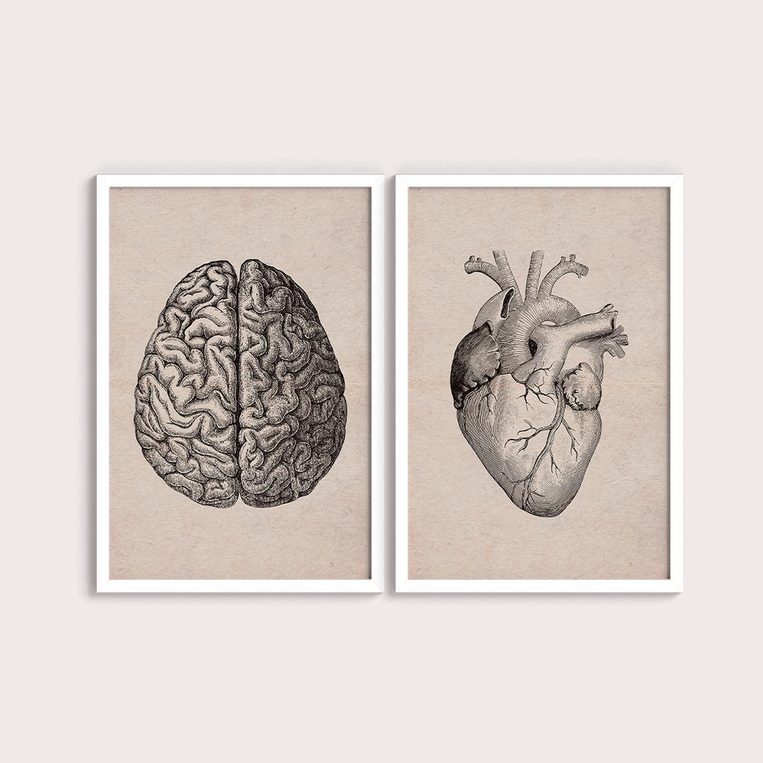 Composição Brain and Heart Vintage - LARTESTUDIO