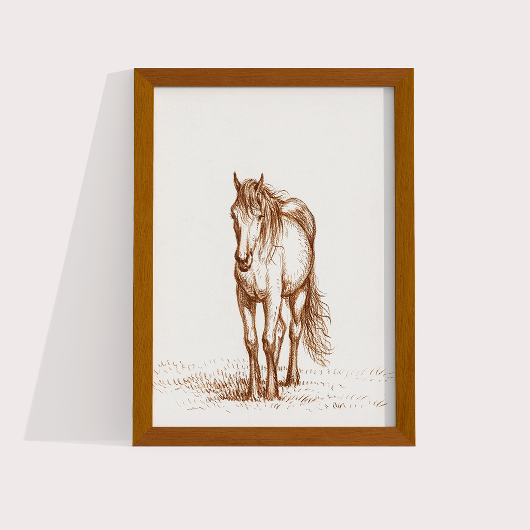Horse