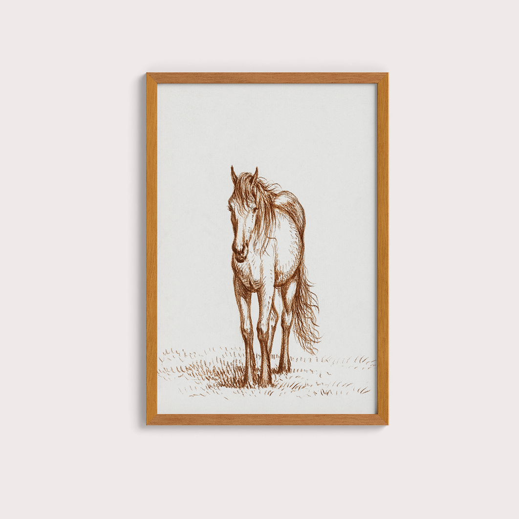 Horse