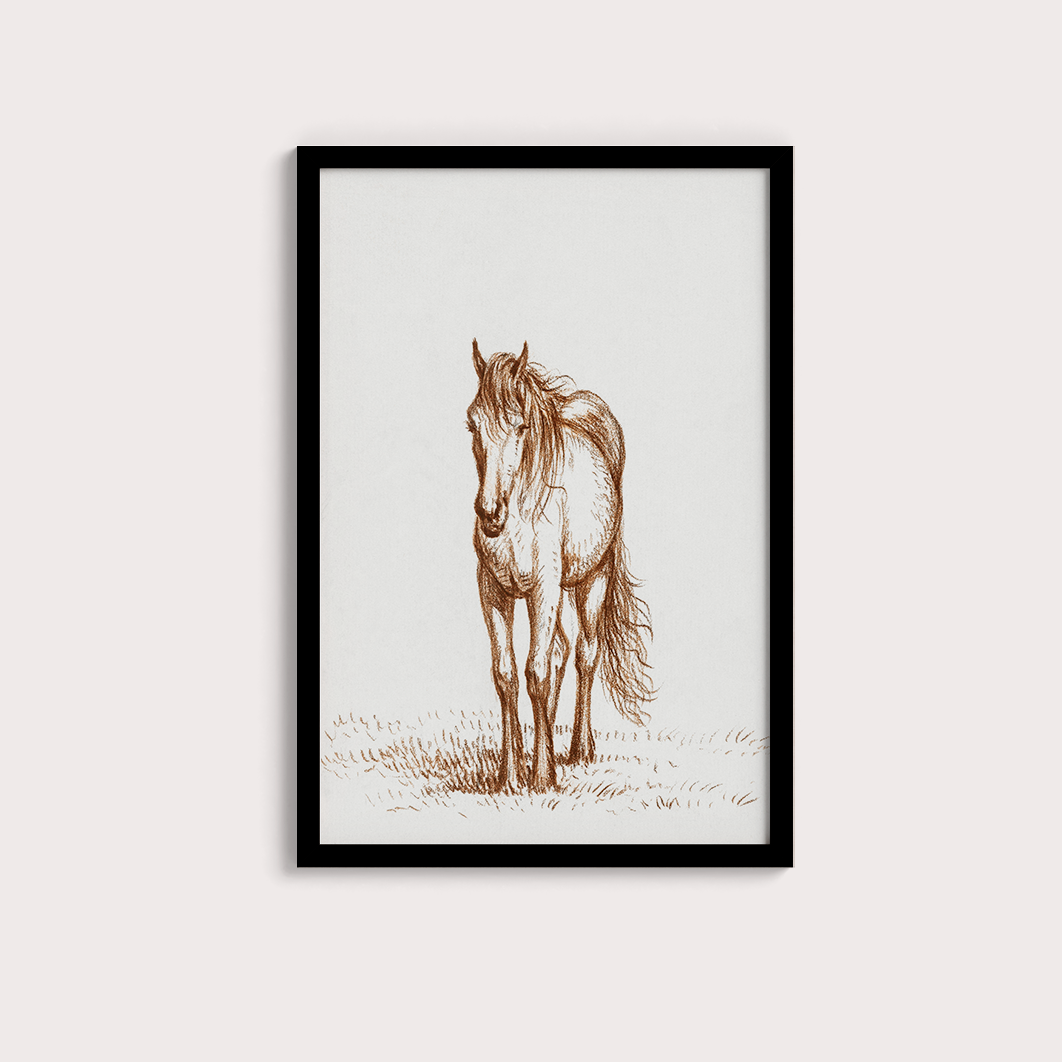 Horse