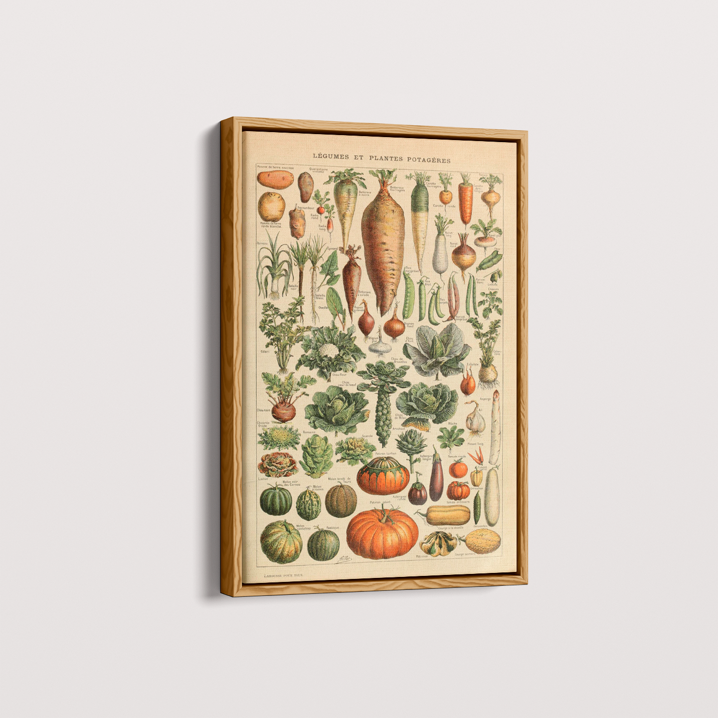Vegetables