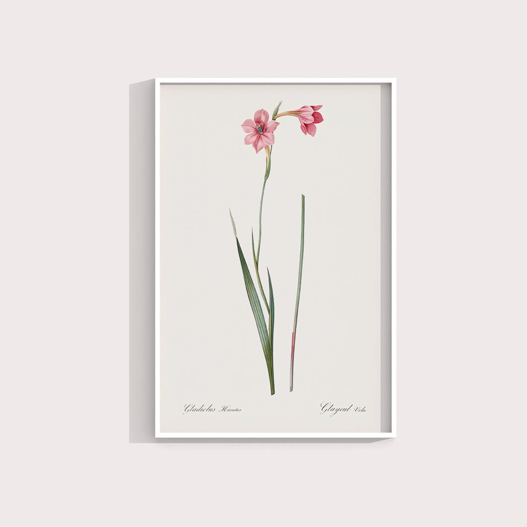 Lily