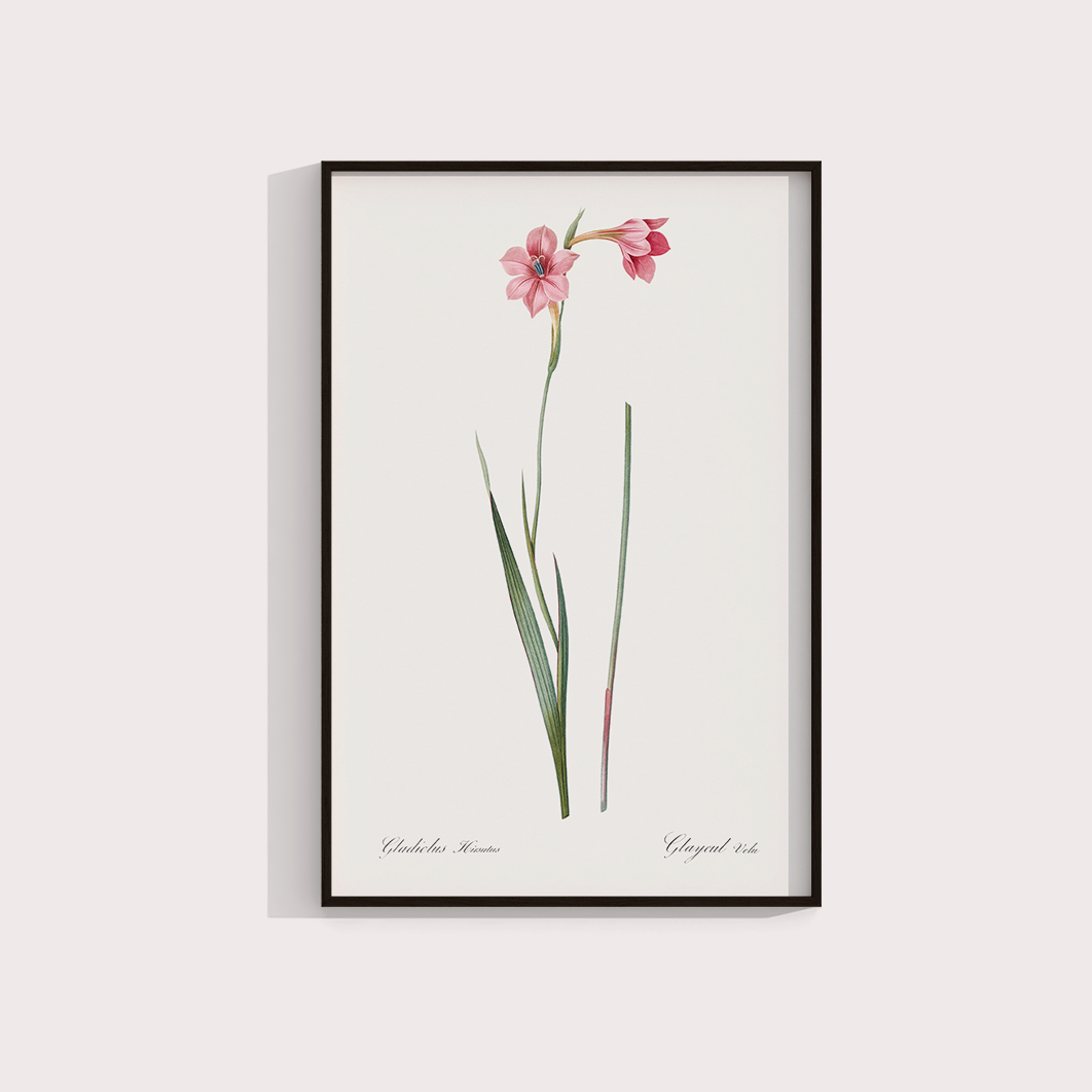 Lily