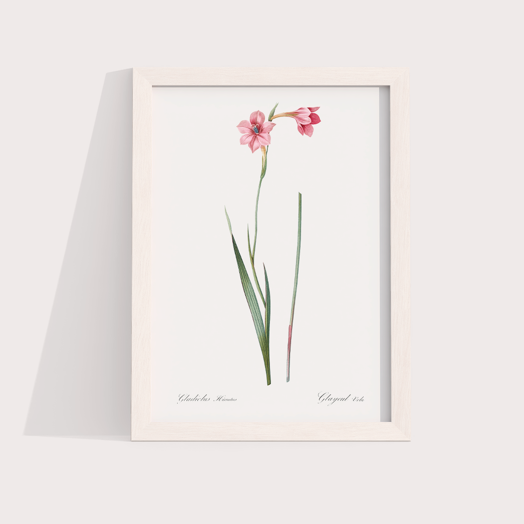 Lily