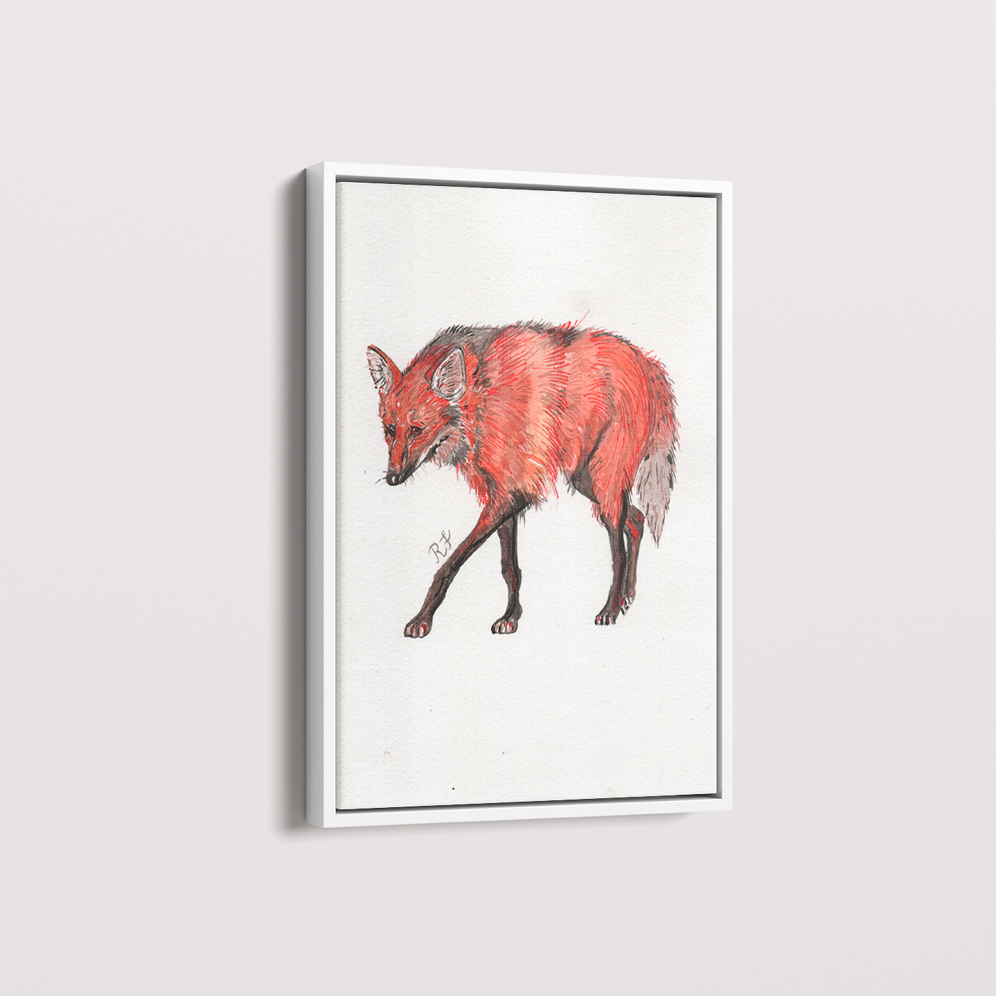 Quadro Lobo Guará por aquarelando