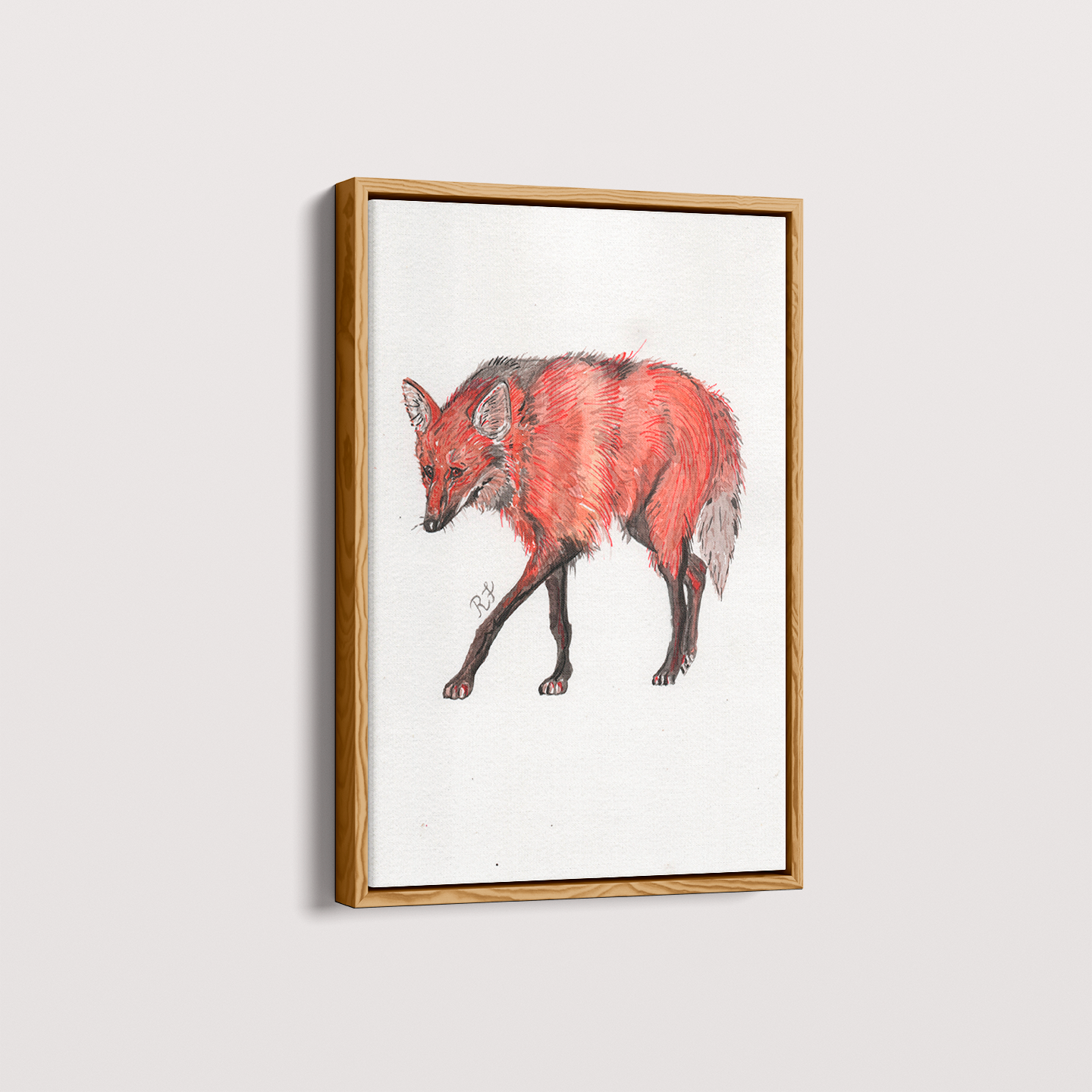 Quadro Lobo Guará por aquarelando
