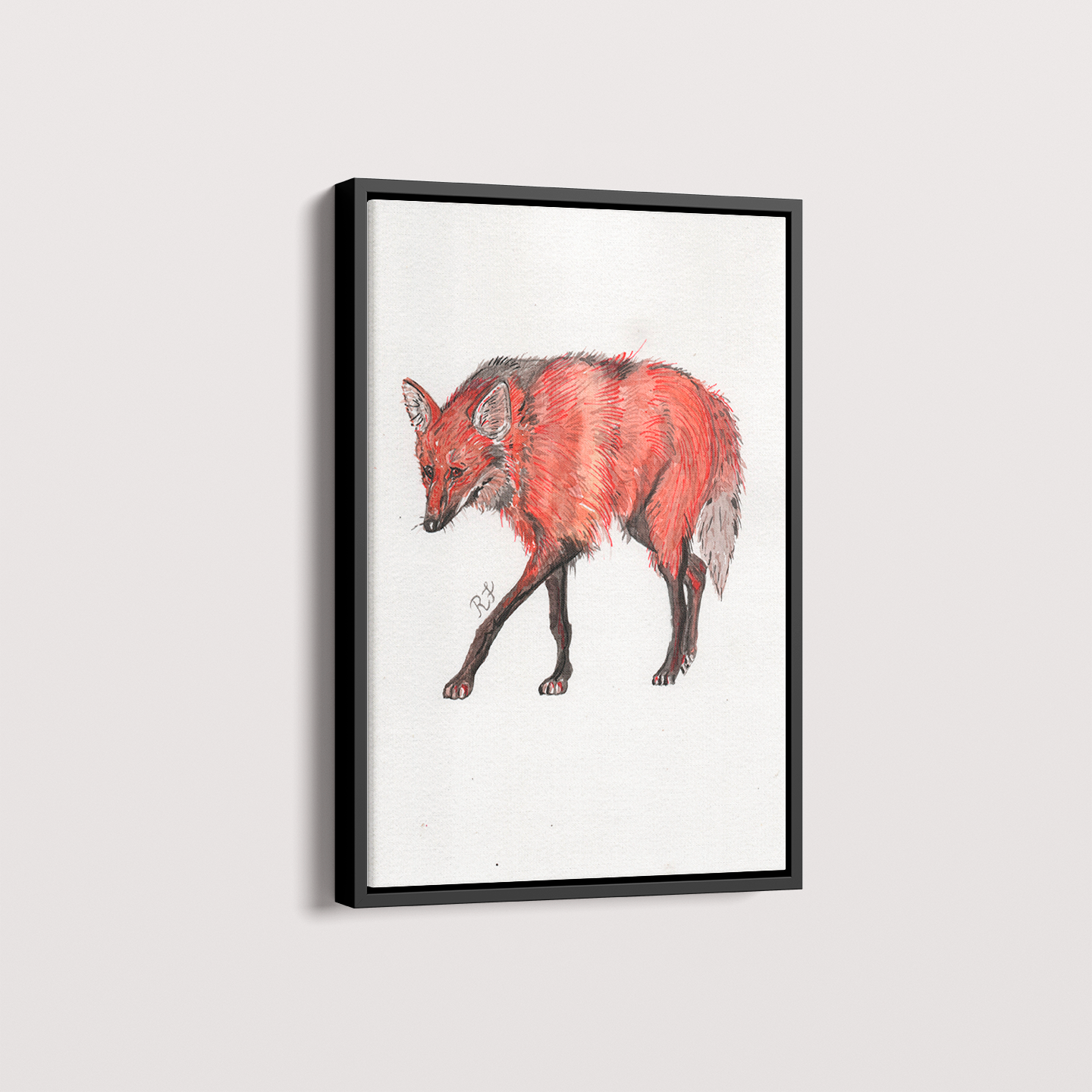 Quadro Lobo Guará por aquarelando