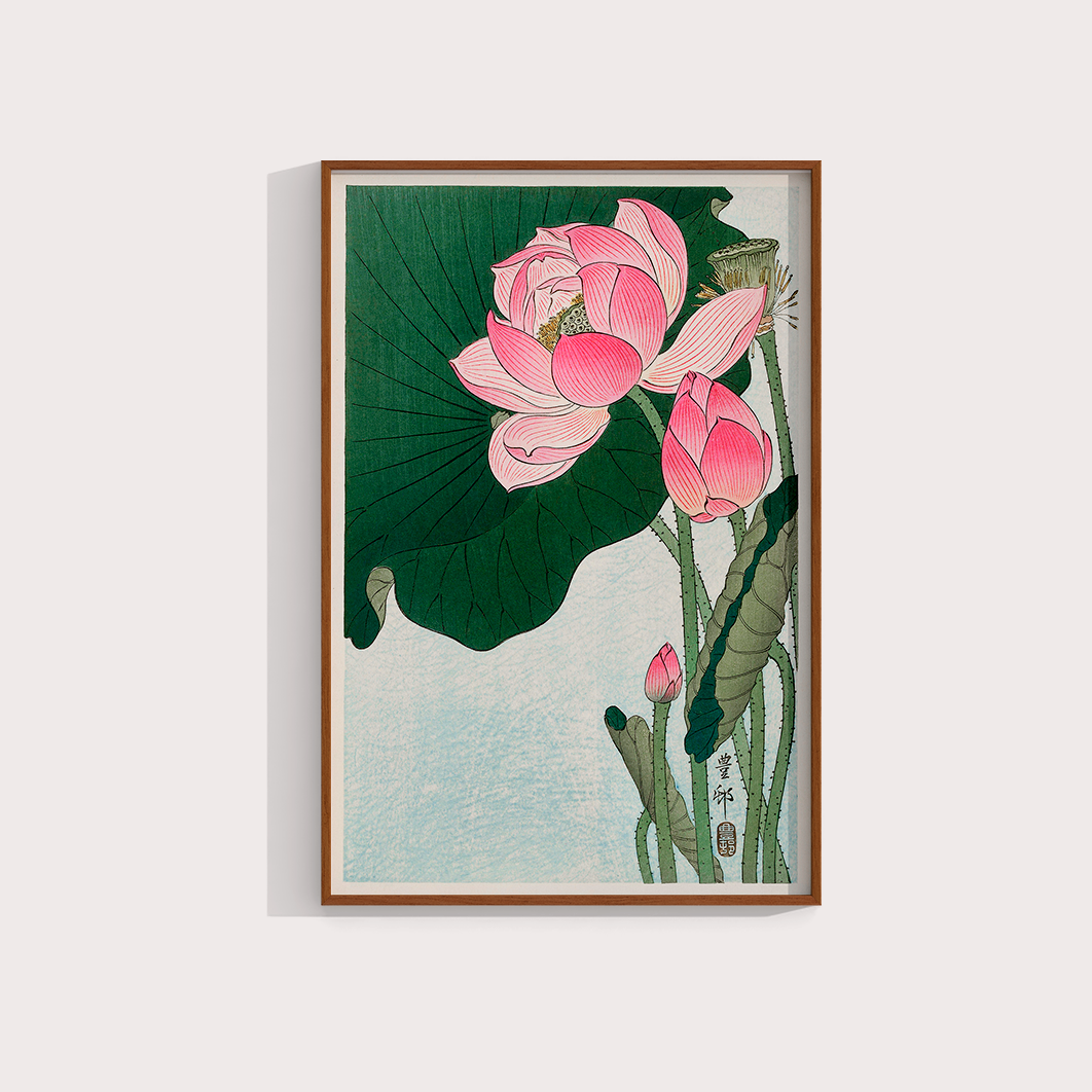 Blooming lotus flowers por Ohara Koson