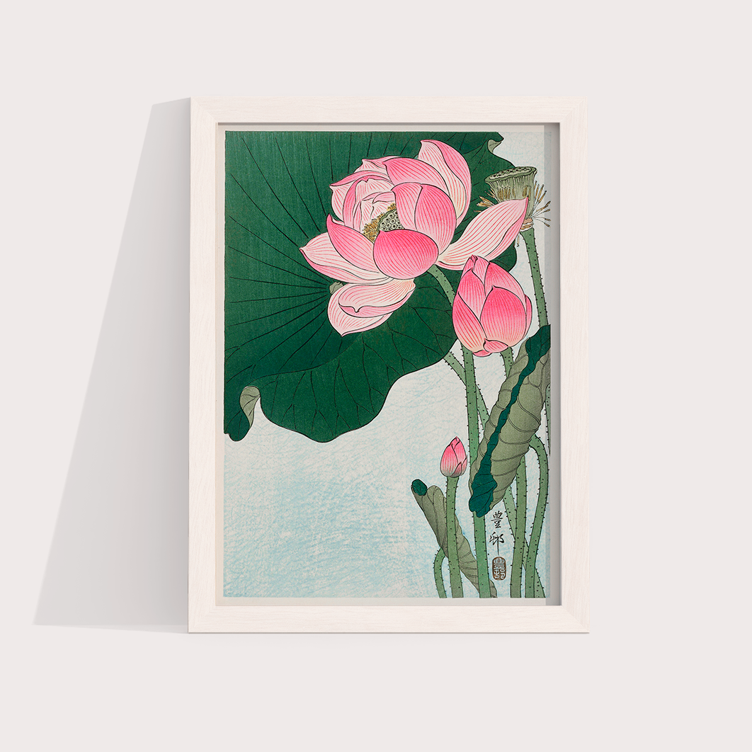 Blooming lotus flowers por Ohara Koson