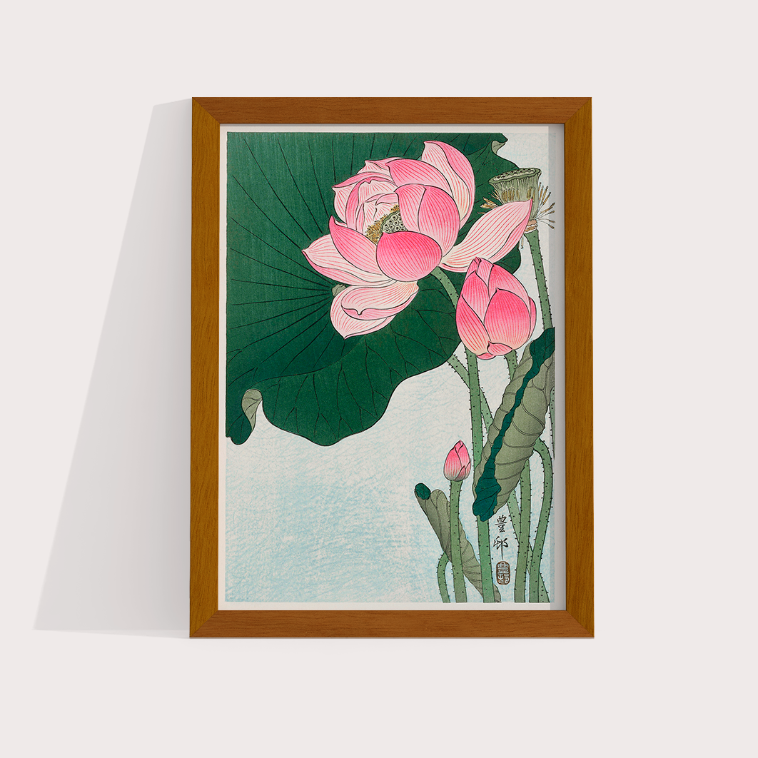 Blooming lotus flowers por Ohara Koson