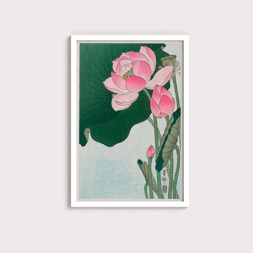 Blooming lotus flowers por Ohara Koson